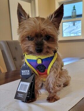 Canada Pooch "The Everything" Harness